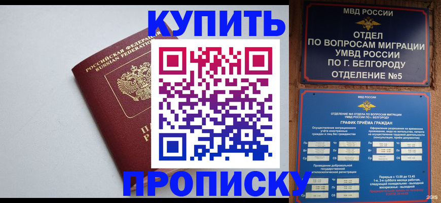 прописка регистрация в Гаврилов-Яме